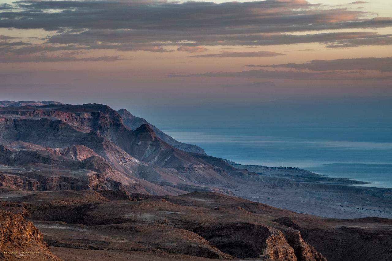 Desert Picture Αράντ Εξωτερικό φωτογραφία