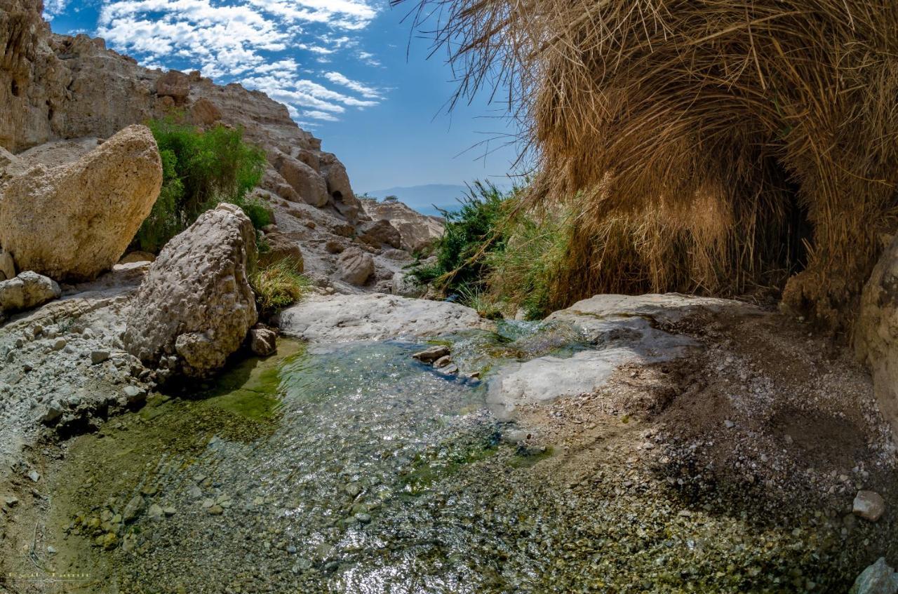Desert Picture Αράντ Εξωτερικό φωτογραφία