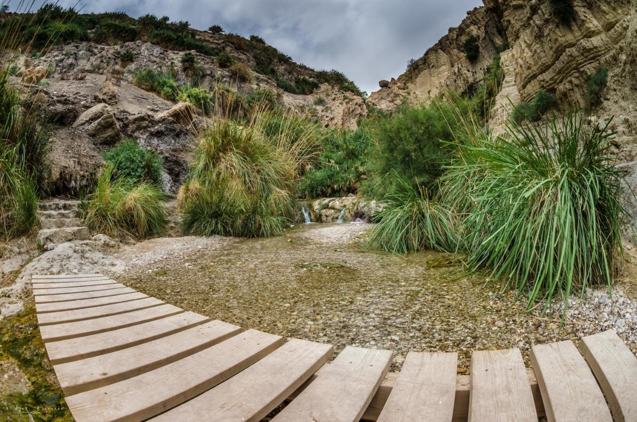 Desert Picture Αράντ Εξωτερικό φωτογραφία
