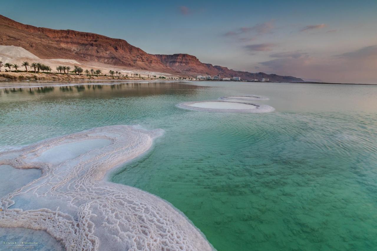 Desert Picture Αράντ Εξωτερικό φωτογραφία