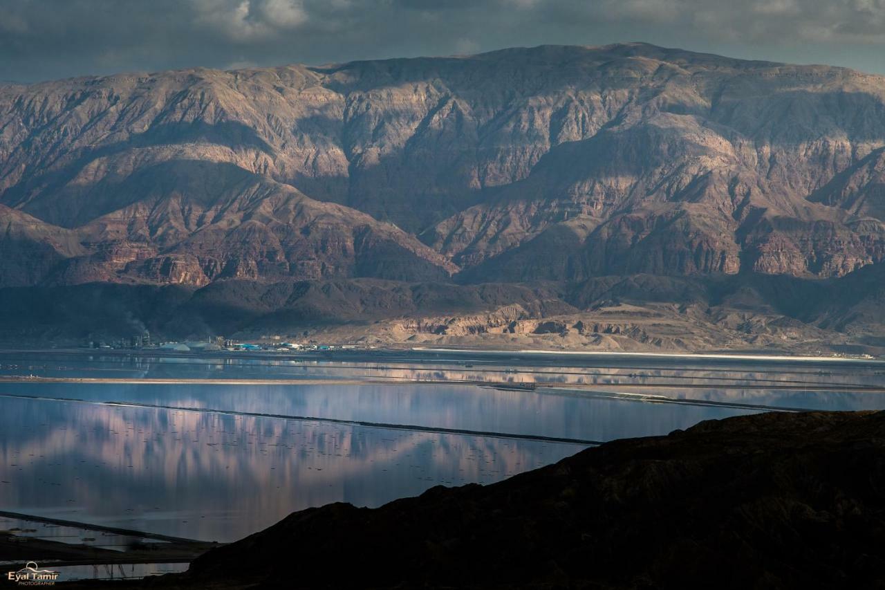 Desert Picture Αράντ Εξωτερικό φωτογραφία