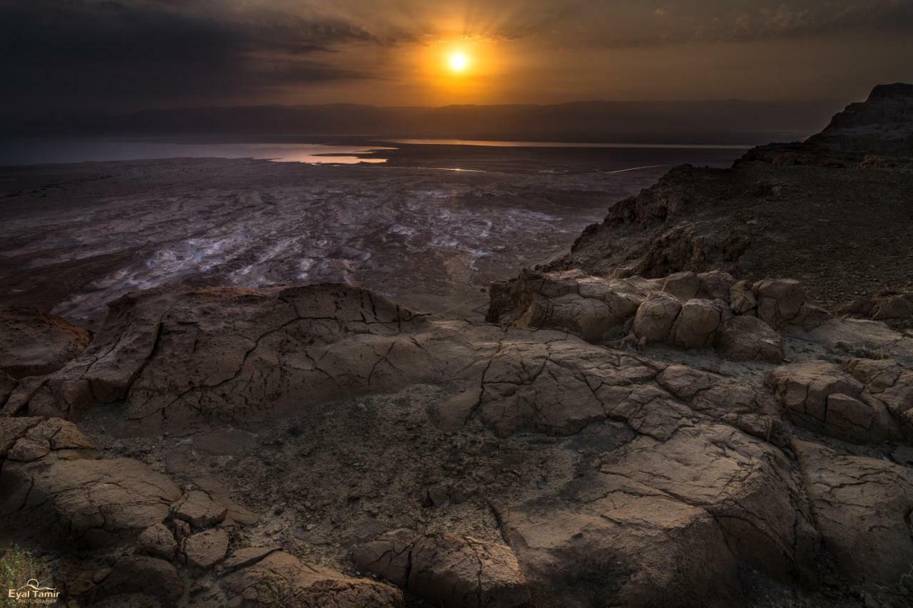 Desert Picture Αράντ Εξωτερικό φωτογραφία