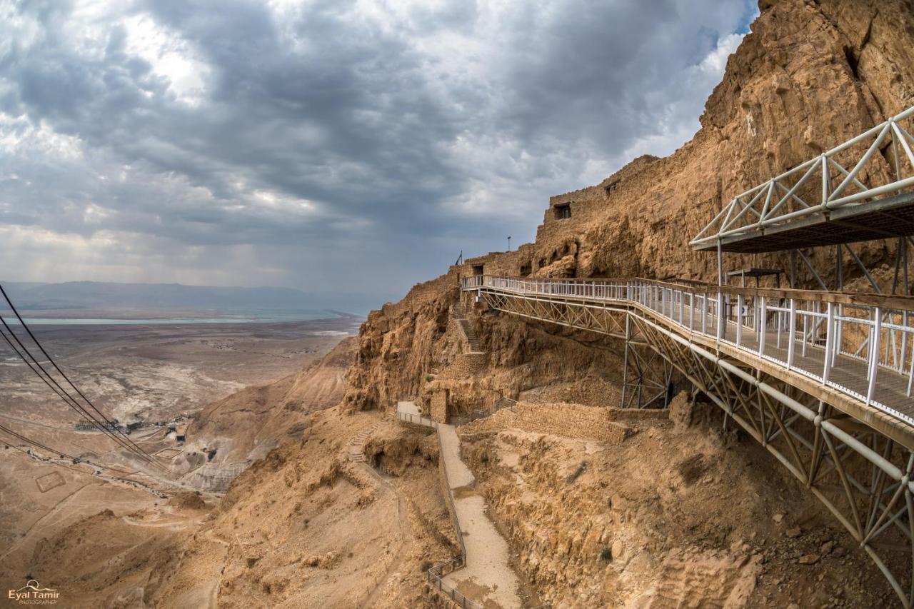 Desert Picture Αράντ Εξωτερικό φωτογραφία