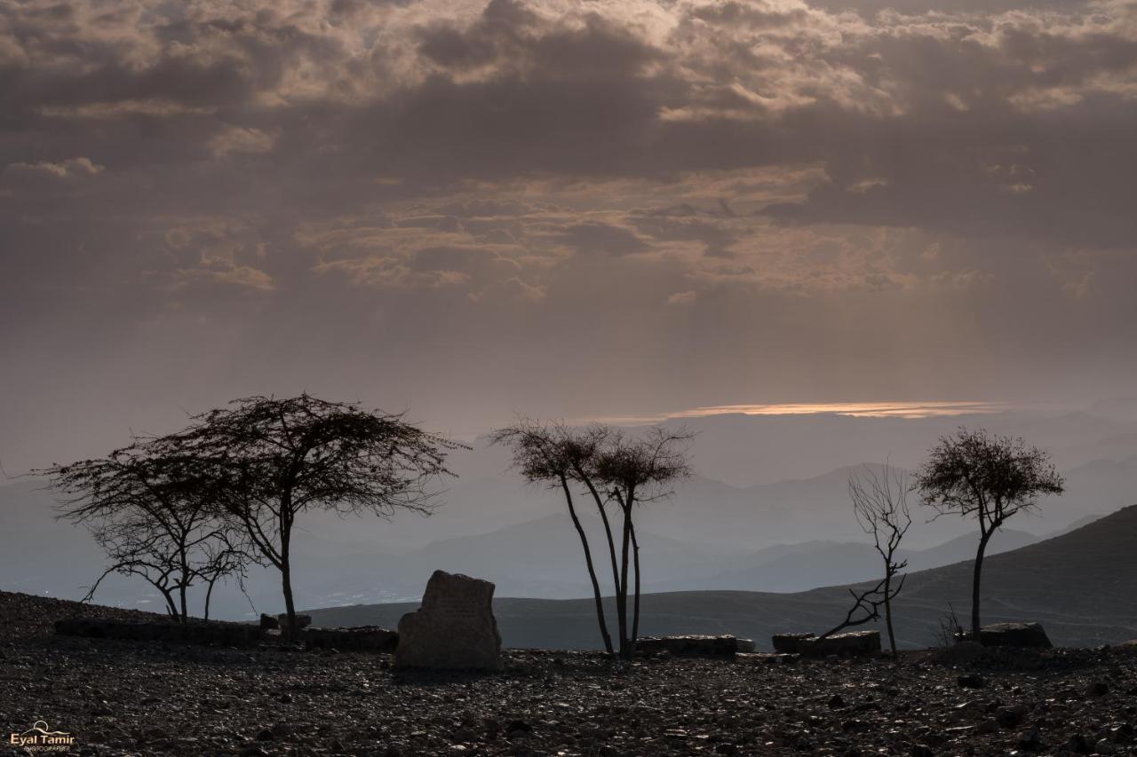 Desert Picture Αράντ Εξωτερικό φωτογραφία