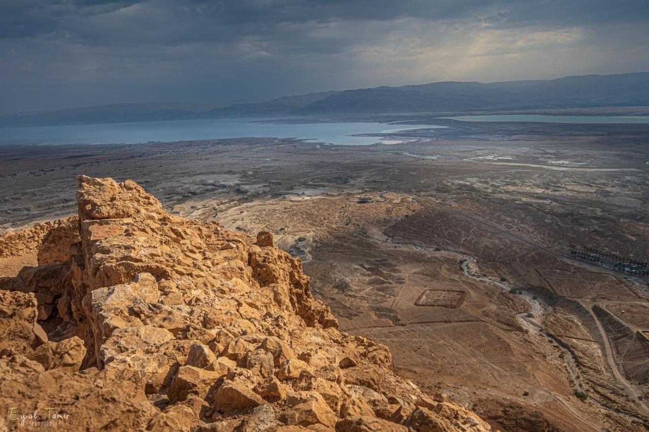 Desert Picture Αράντ Εξωτερικό φωτογραφία