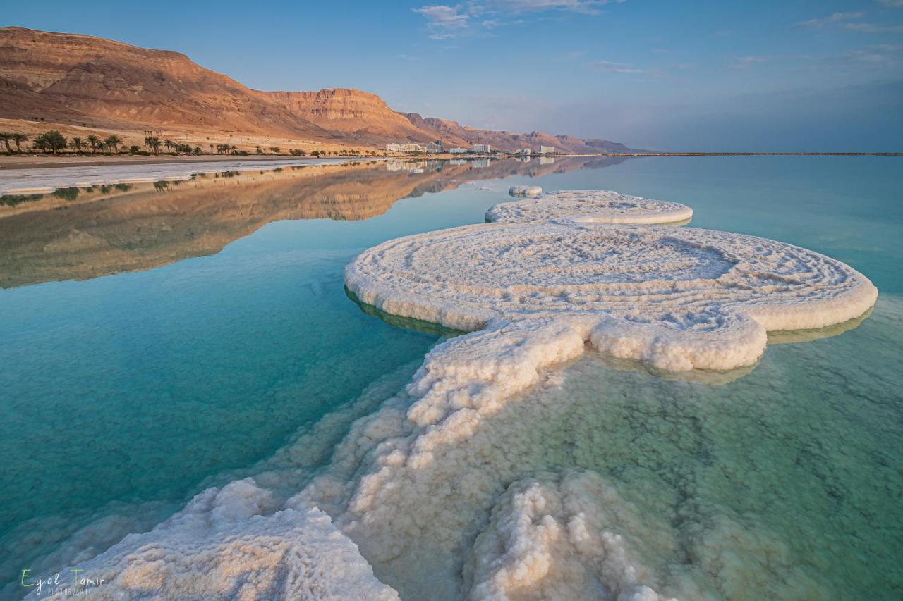 Desert Picture Αράντ Εξωτερικό φωτογραφία